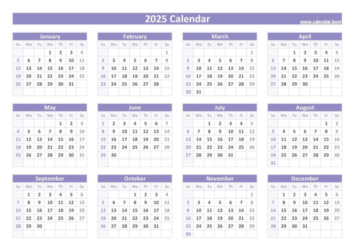 2025 Year Calendar Printable