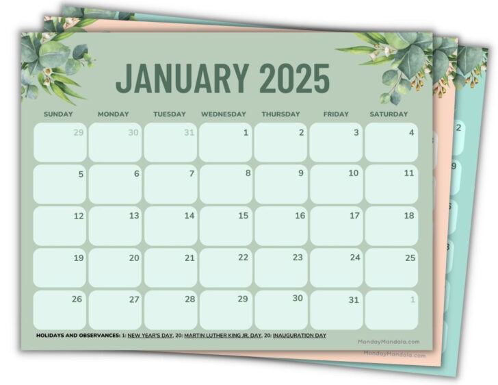 Funny Printable Calendar 2025 | Calendars 2025