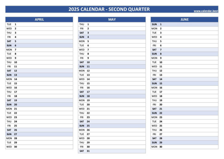 2025 Printable Quarterly Calendar | Calendars 2025