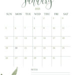 January 2025 Calendars   107 Free Printables | Printabulls For Month Of January 2025 Printable Calendar | CalendarCrazePrint.Com