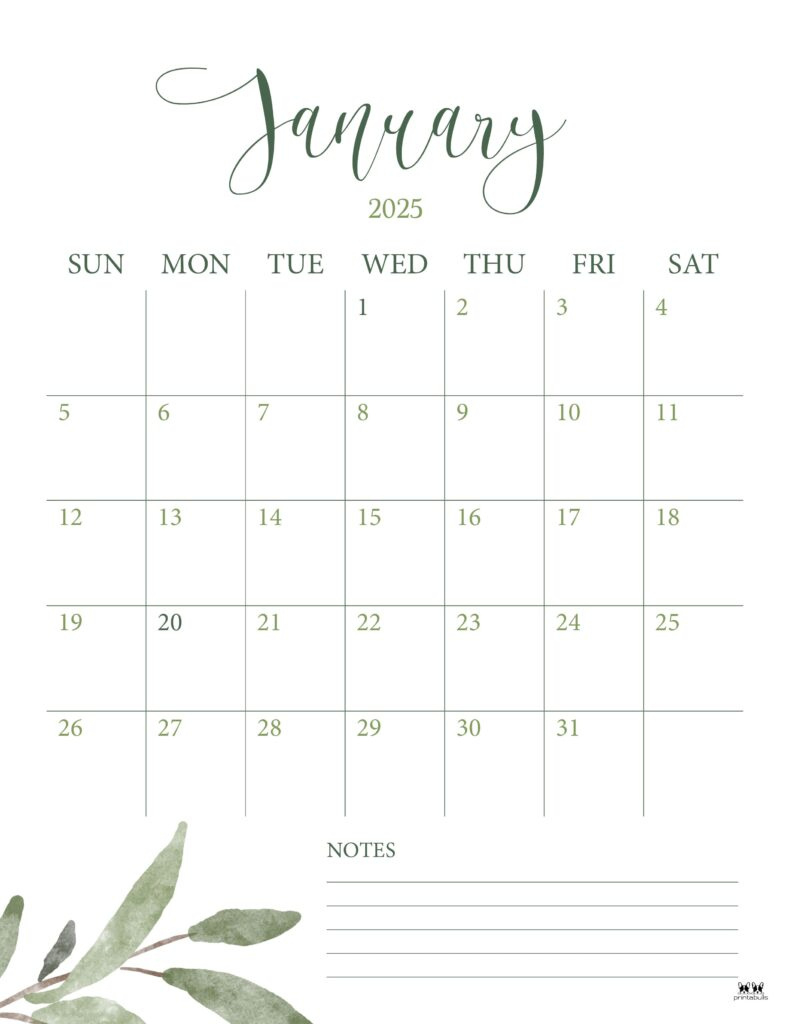 January 2025 Calendars - 107 Free Printables | Printabulls for Month Of January 2025 Printable Calendar | CalendarCrazePrint.Com