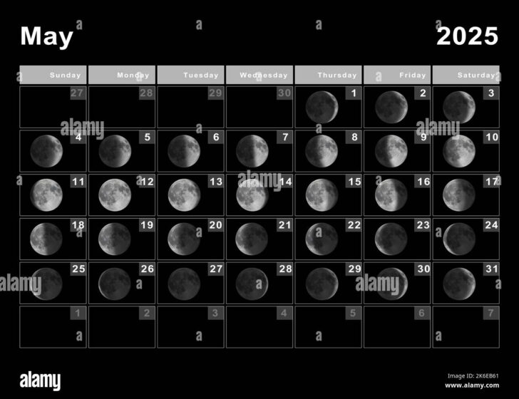 Lunar Calendar 2025 Printable | Calendars 2025