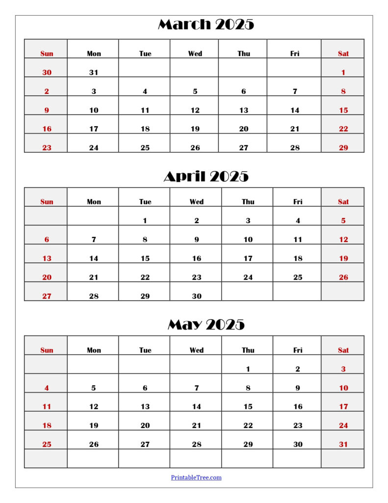 March To May 2025 Calendar Printable Pdf | Three Months Calendar Throughout March April May Calendar 2025 Printable  | CalendarCrazePrint.Com