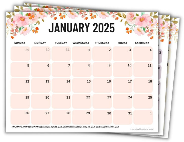 Free Printable Monthly Calendar 2024 and 2025 | Calendars 2025