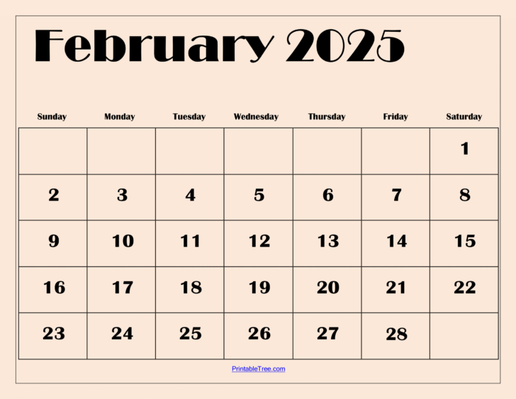 Calendar For the Month of February 2025