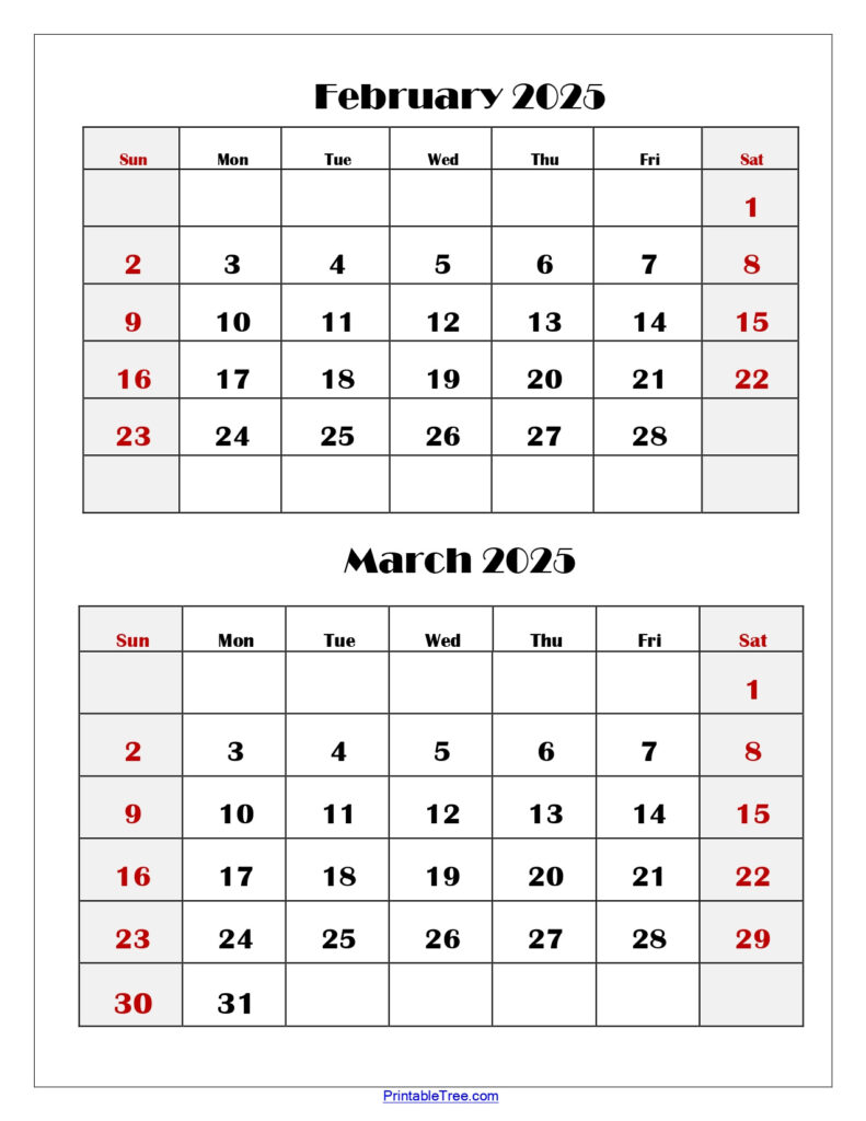 February And March 2025 Calendar Printable | Two Months Calendar Throughout February And March 2025 Printable Calendar