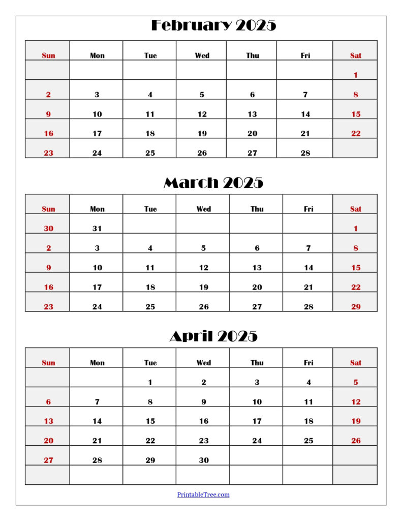 February To April 2025 Calendar Printable Pdf | Three Months Calendar Inside February March April 2025 Calendar