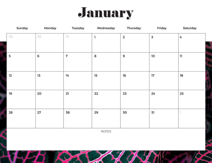 Basic Printable Calendar 2025 | Calendars 2025