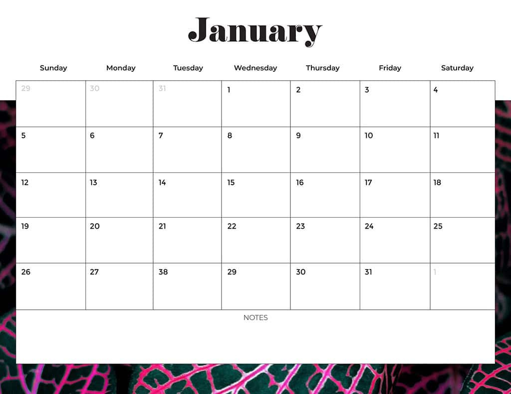 Free 2025 Calendars — 80 Beautiful &amp;amp; Printable Options For You! pertaining to Basic Printable Calendar 2025 | CalendarCrazePrint.Com