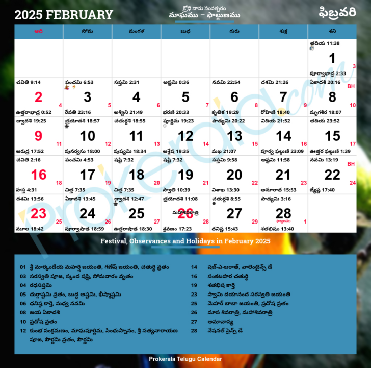 Chicago Telugu Calendar 2025 February