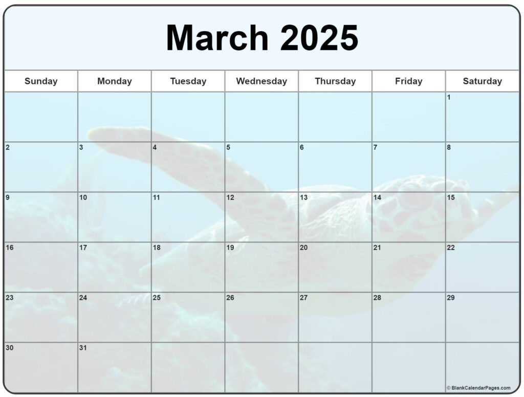 Collection Of March 2025 Photo Calendars With Image Filters. With Regard To March 2025 Printable Calendar Wiki