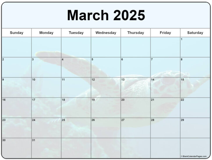 March 2025 Printable Calendar Wiki