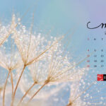 May 2025 Calendar Desktop Wallpaper & Screensavers | Entheosweb With May 2025 Desktop Calendar