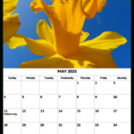 May 2025 Calendar – My Calendar Land Throughout Calendar For May Of 2025