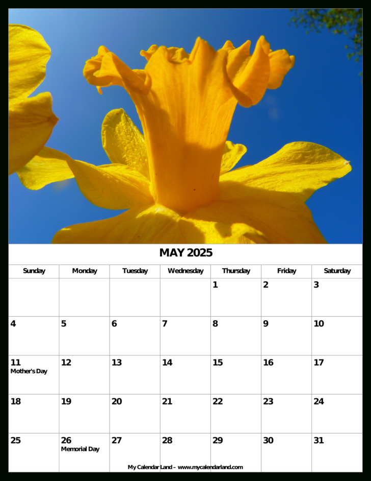 Calendar For May of 2025