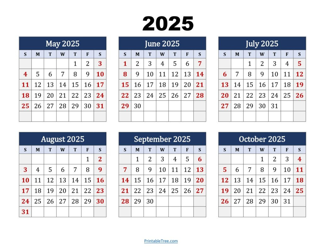 Six Month Calendar 2024 2025 Printable Pdf 6 Months Calendar Regarding November 2024 To May 2025 Printable Calendar Six Month Calendar 2024 2025 Printable Pdf 6 Months Calendar Regarding November 2024 To May 2025 Printable Calendar