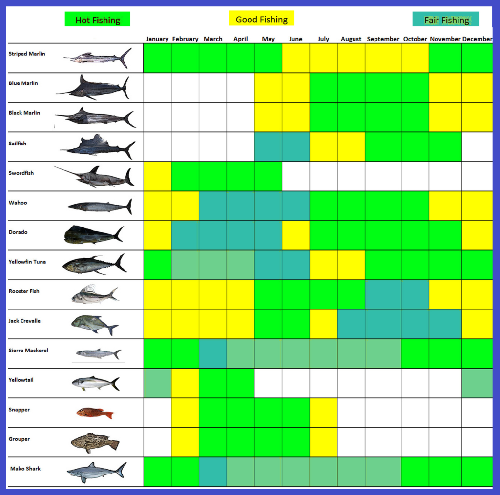 Cabos Fishing Calendar Ursulas Fishing Blog Regarding Fishing Calendar For June 2025 Cabos Fishing Calendar Ursulas Fishing Blog Regarding Fishing Calendar For June 2025