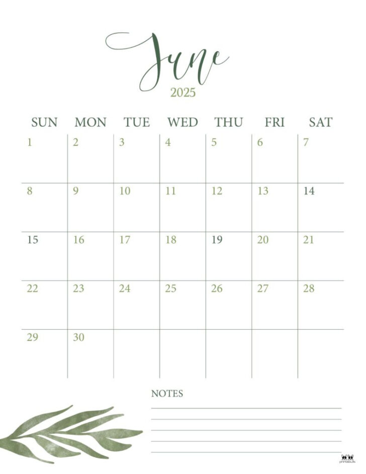 June 2025 Calendar with Notes