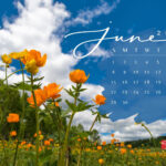 June 2025 Desktop Wallpaper Calendars | Entheosweb For June 2025 Calendar Wallpaper Desktop