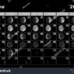 June 2025 Lunar Calendar Moon Cycles Stock Illustration 2213849551 Within Moon Calendar 2025 June