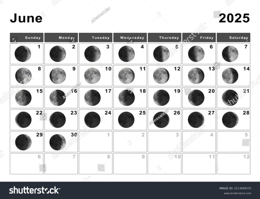June 2025 Lunar Calendar Moon Cycles Stock Illustration 2213849555 With June 2025 Lunar Calendar June 2025 Lunar Calendar Moon Cycles Stock Illustration 2213849555 With June 2025 Lunar Calendar