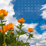 June 2025 Phone Wallpaper & Lockscreen Backgrounds | Entheosweb With June 2025 Calendar Background
