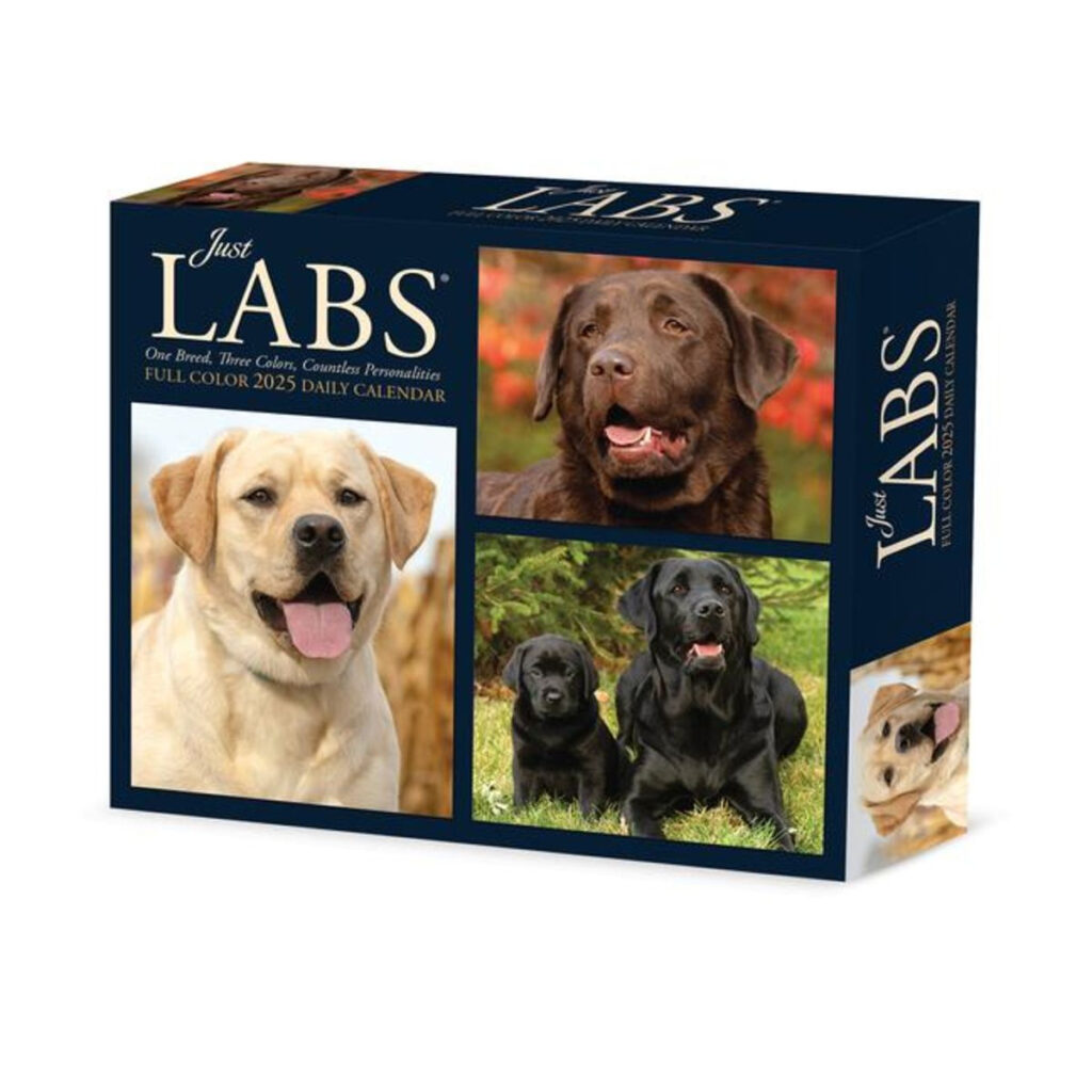 "Labs 2025 6.2 X 5.4 Box Calendar" Kaufen In July 2025 Calendar Labs "Labs 2025 6.2 X 5.4 Box Calendar" Kaufen In July 2025 Calendar Labs