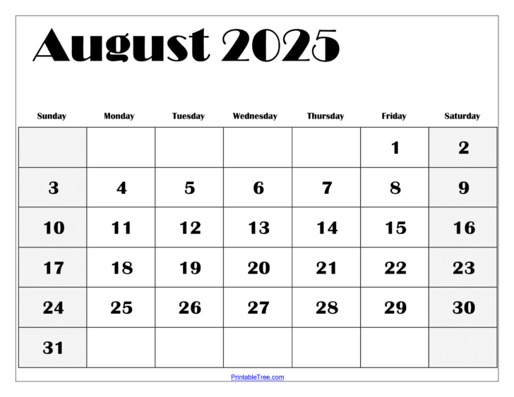 August Printable Calendar 2025 Word
