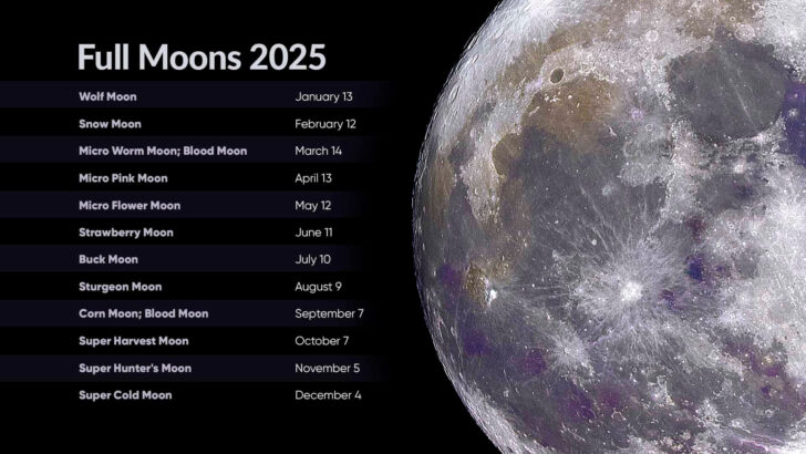 Moon Calendar in August 2025
