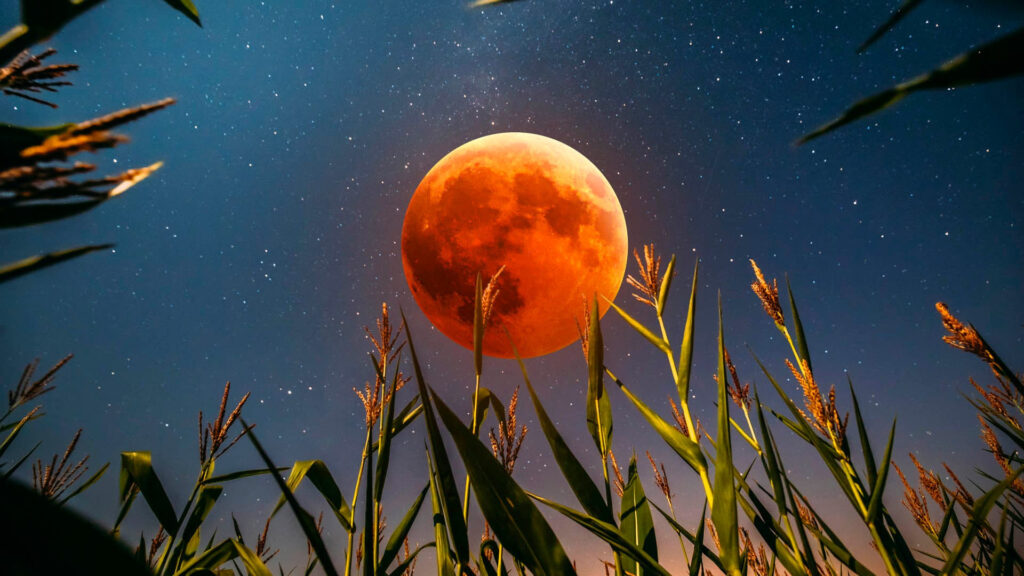 Cuando Es Luna Llena Septiembre 2025 Significado | Luna De La Throughout Luna September 2025 Cuando Es Luna Llena Septiembre 2025 Significado | Luna De La Throughout Luna September 2025