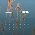 Free September 2025 Wallpaper Calendars – Desktop & Mobile Throughout Iphone Wallpaper Calendar September 2025
