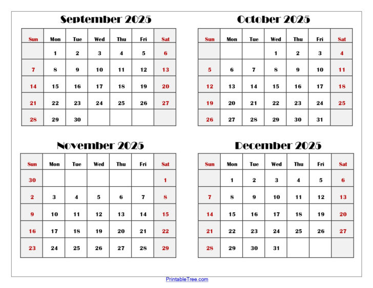 Printable Calendar 2025 September October November